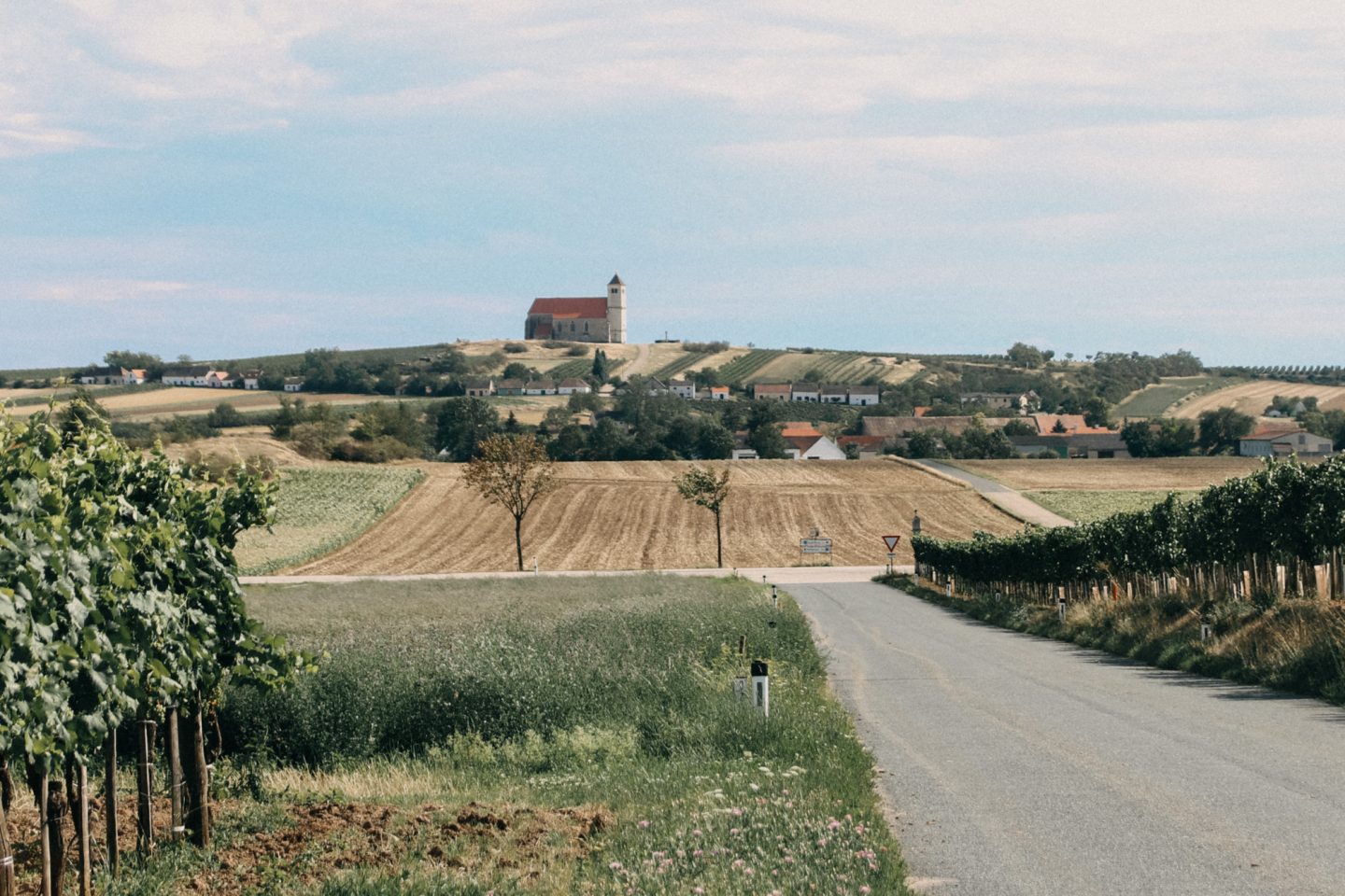 Eine tolle Aussicht in alle Richtugen des Weinviertels hat man vom Wartberg mit seiner schönen Kirche