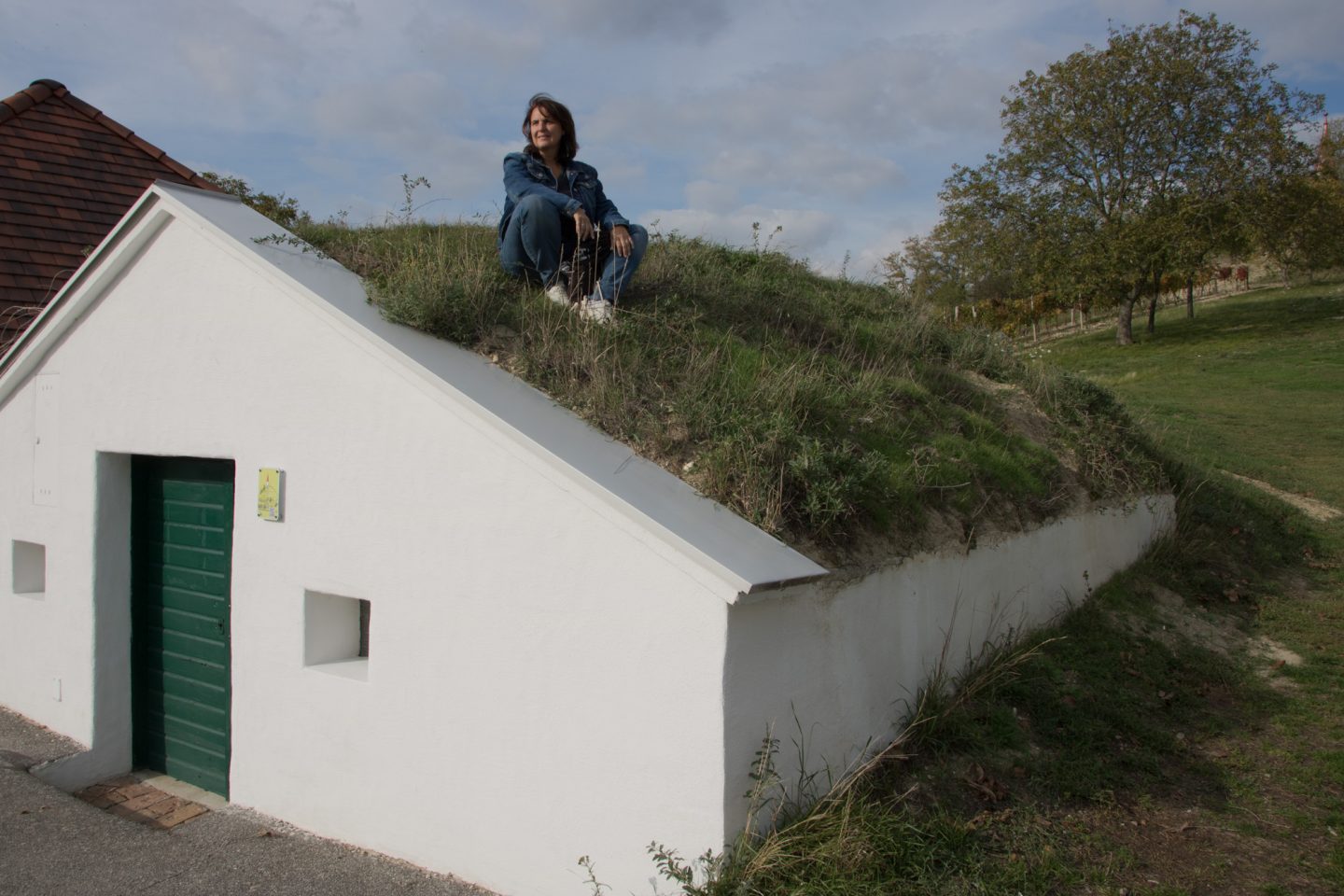 Wildendürnbach Weinviertel Kellergasse