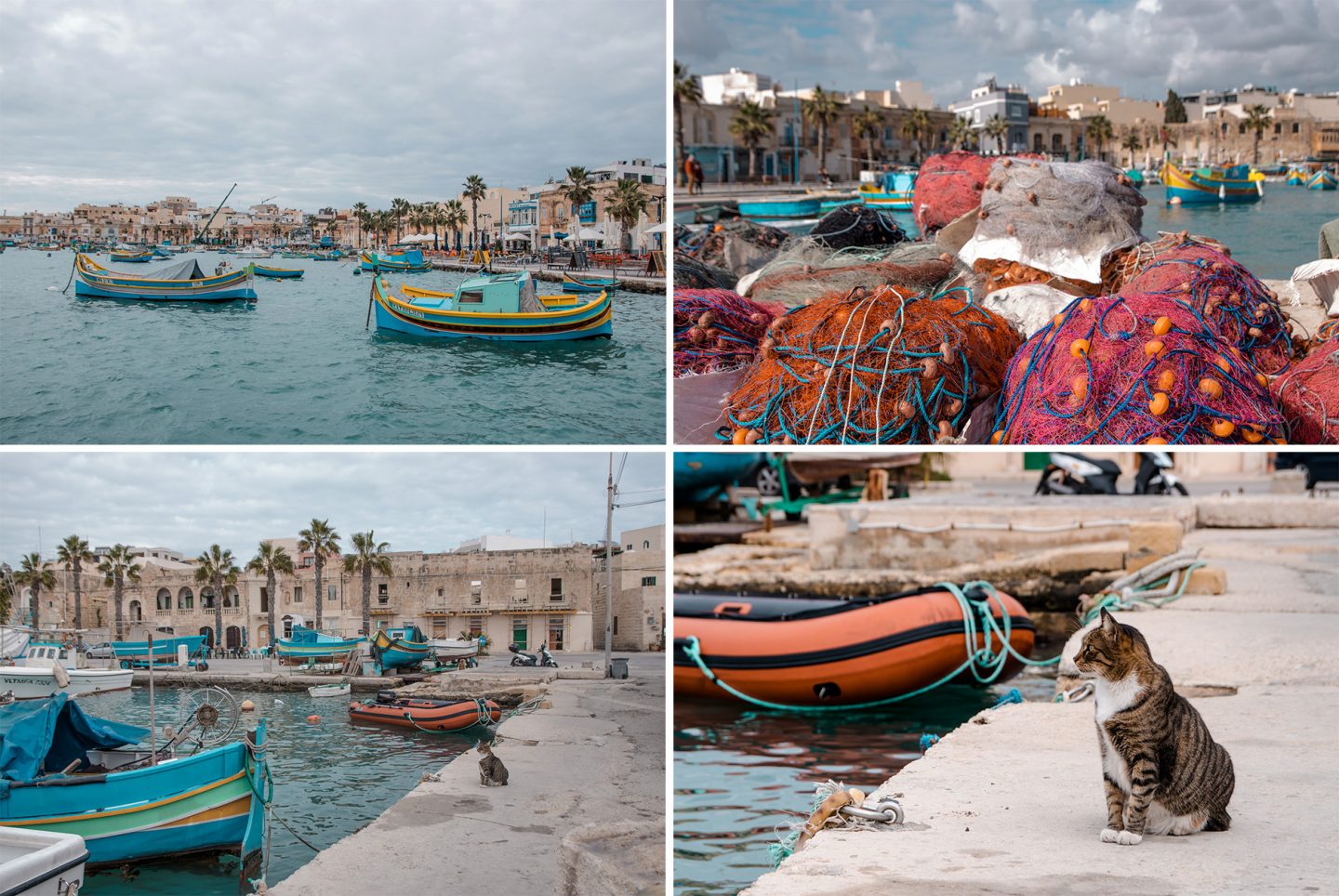 Hafen von Marsaxlokk mit Palmen, Fischernetzen und bnten Fischerbooten. Katze wartet geduldig auf Fische.