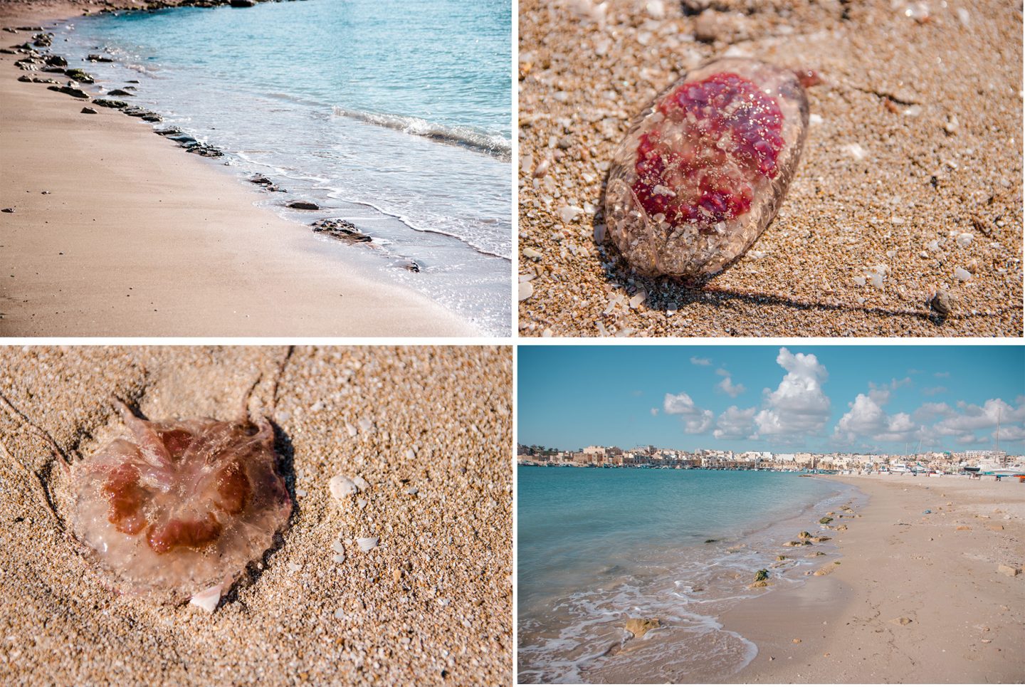 Strand bei Marsaxlokk mit Quallen