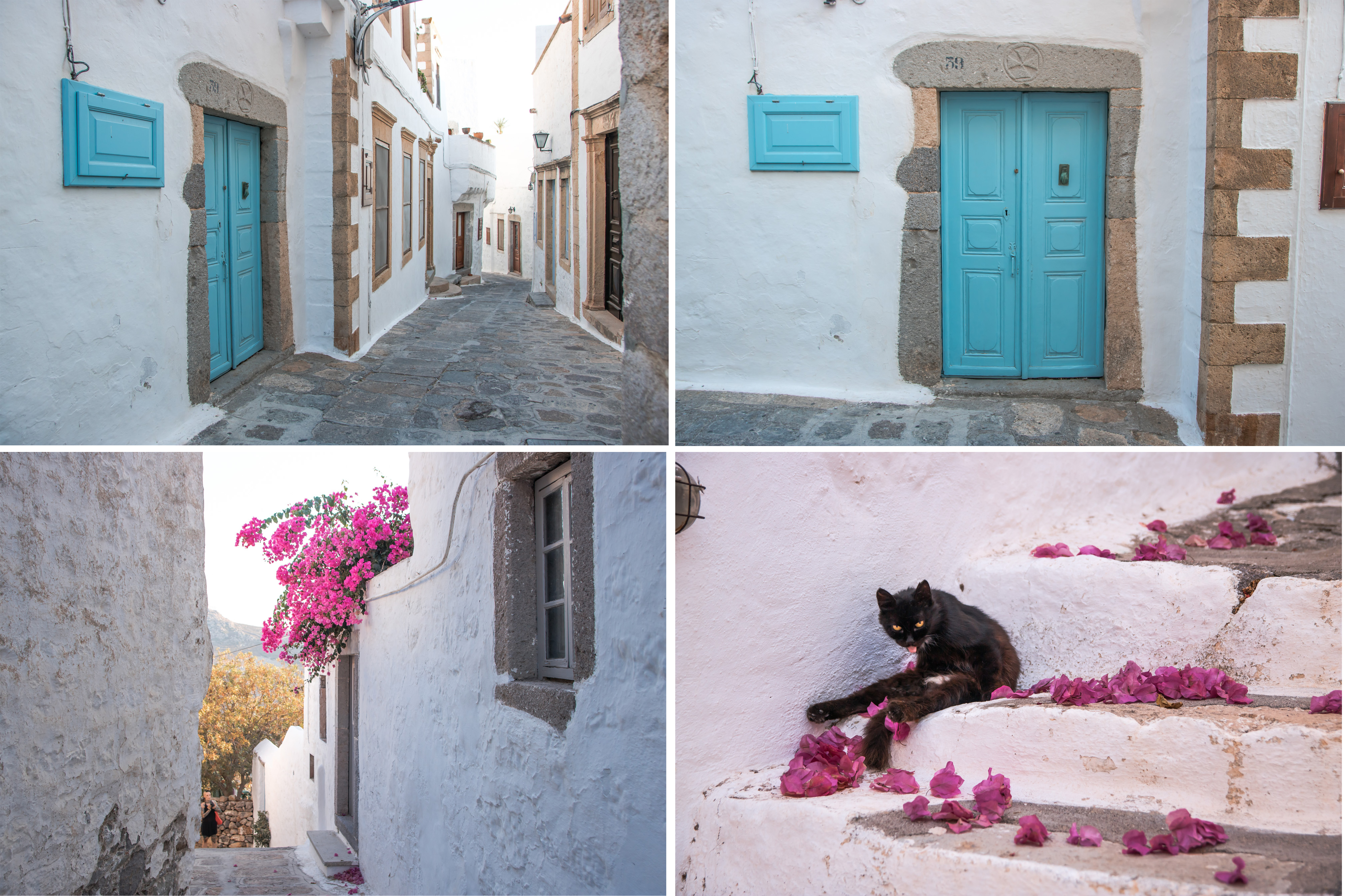 Patmos Chora, liebe kleine Gassen mit Bougenvillea und Katze