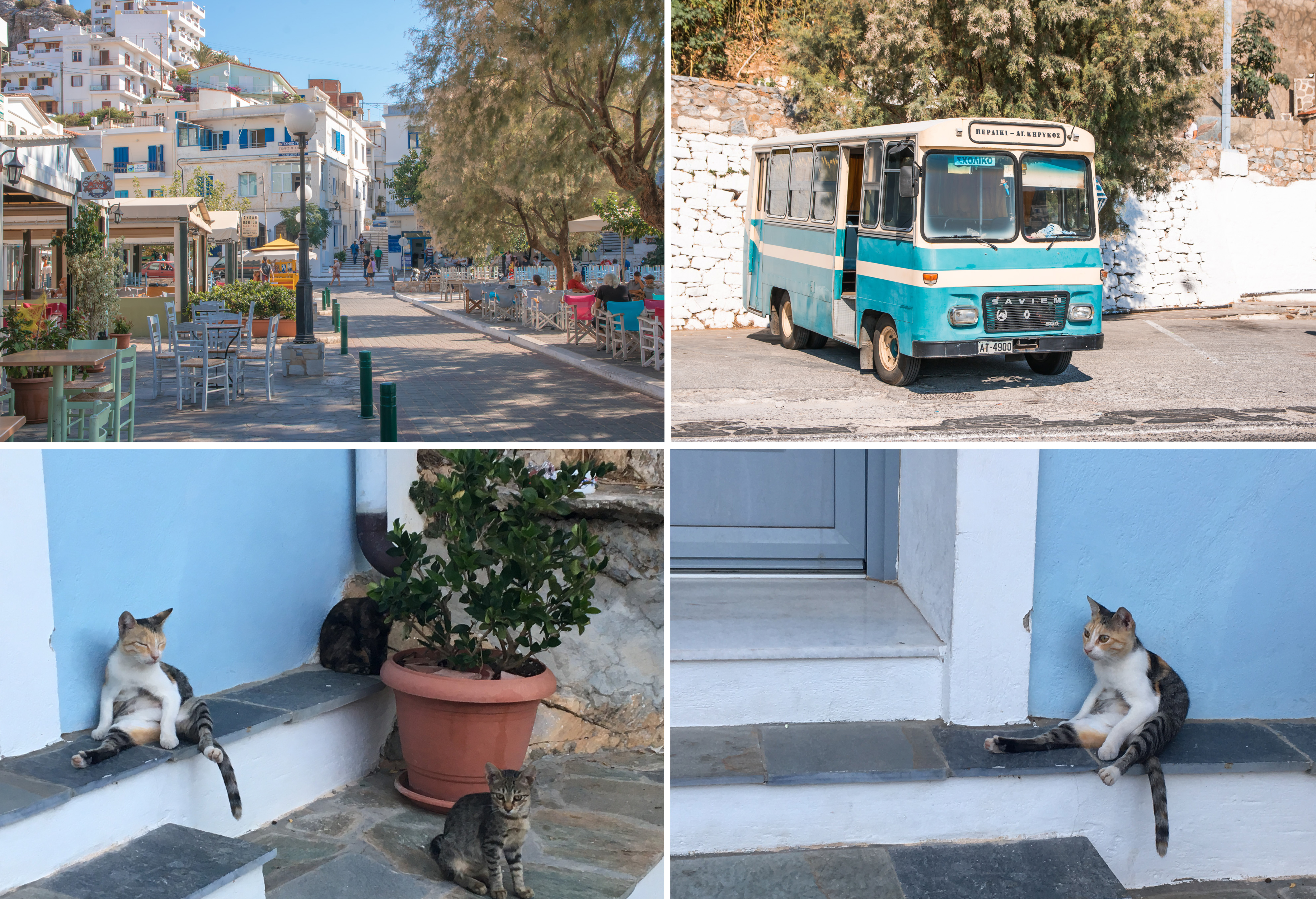 Ikerias Hafenort Agios Kirykos hat eine nette Promenade mit schönen Tavernen und Cafes - und fotogenen Katzen