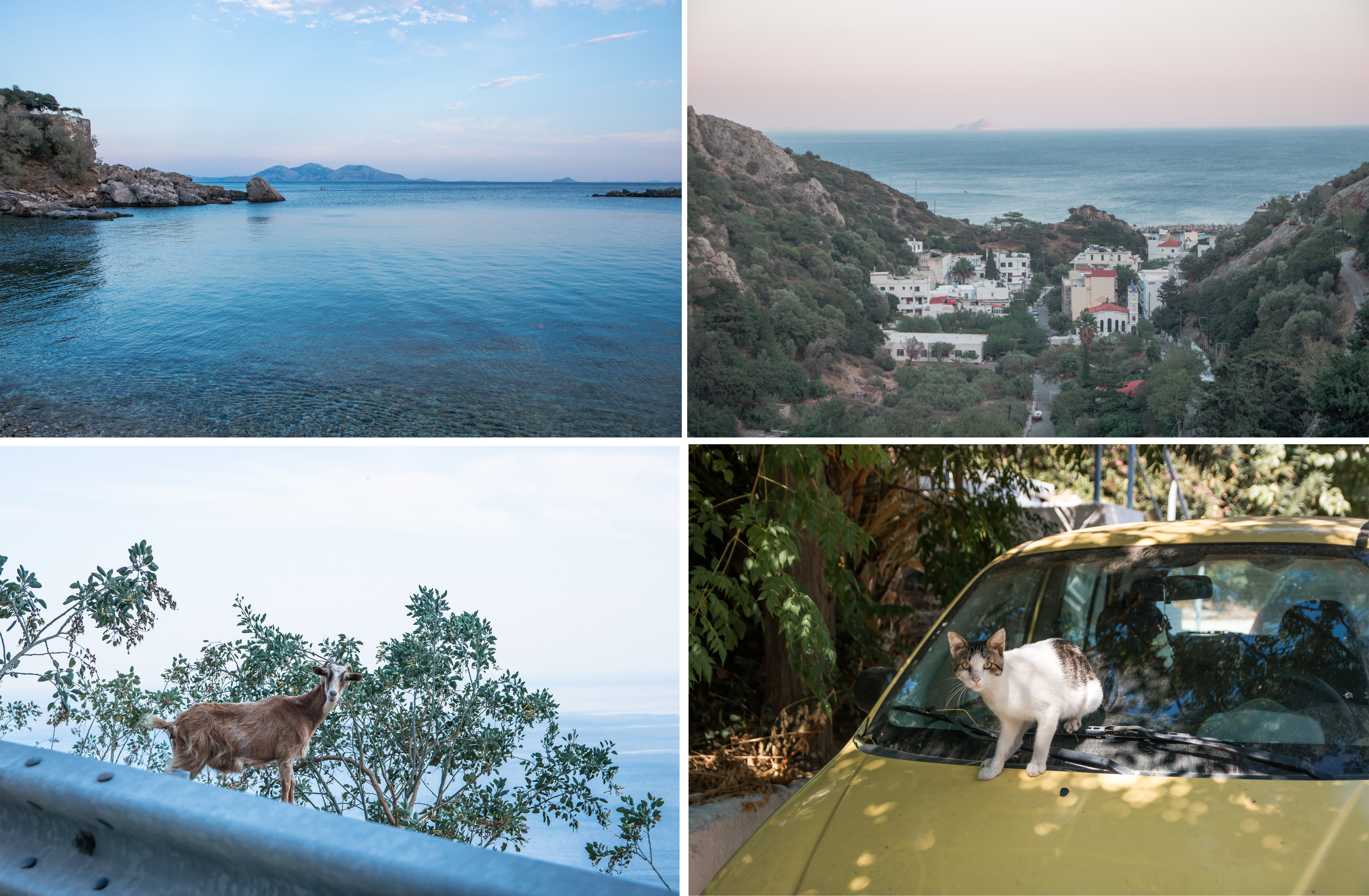 Therma, Ortschaft mit heißen Quellen und wunderschönem Meer. Katze am Auto und Ziege