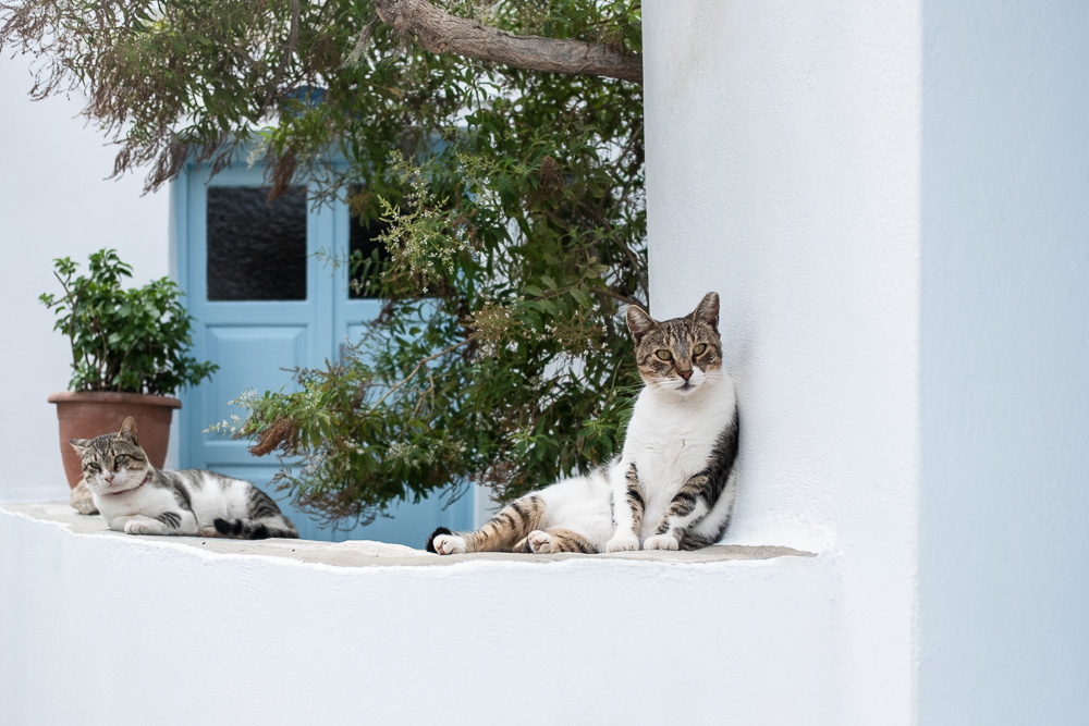 INSELHÜPFEN-MYKONOS, AMORGOS, KLEINE KYKLADEN